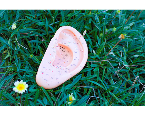 F459A165-FCD9-482D-B4DA-5F977136CDE6